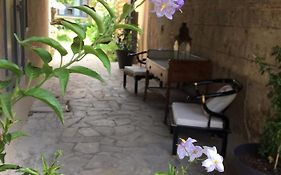 Un jardin en ville
